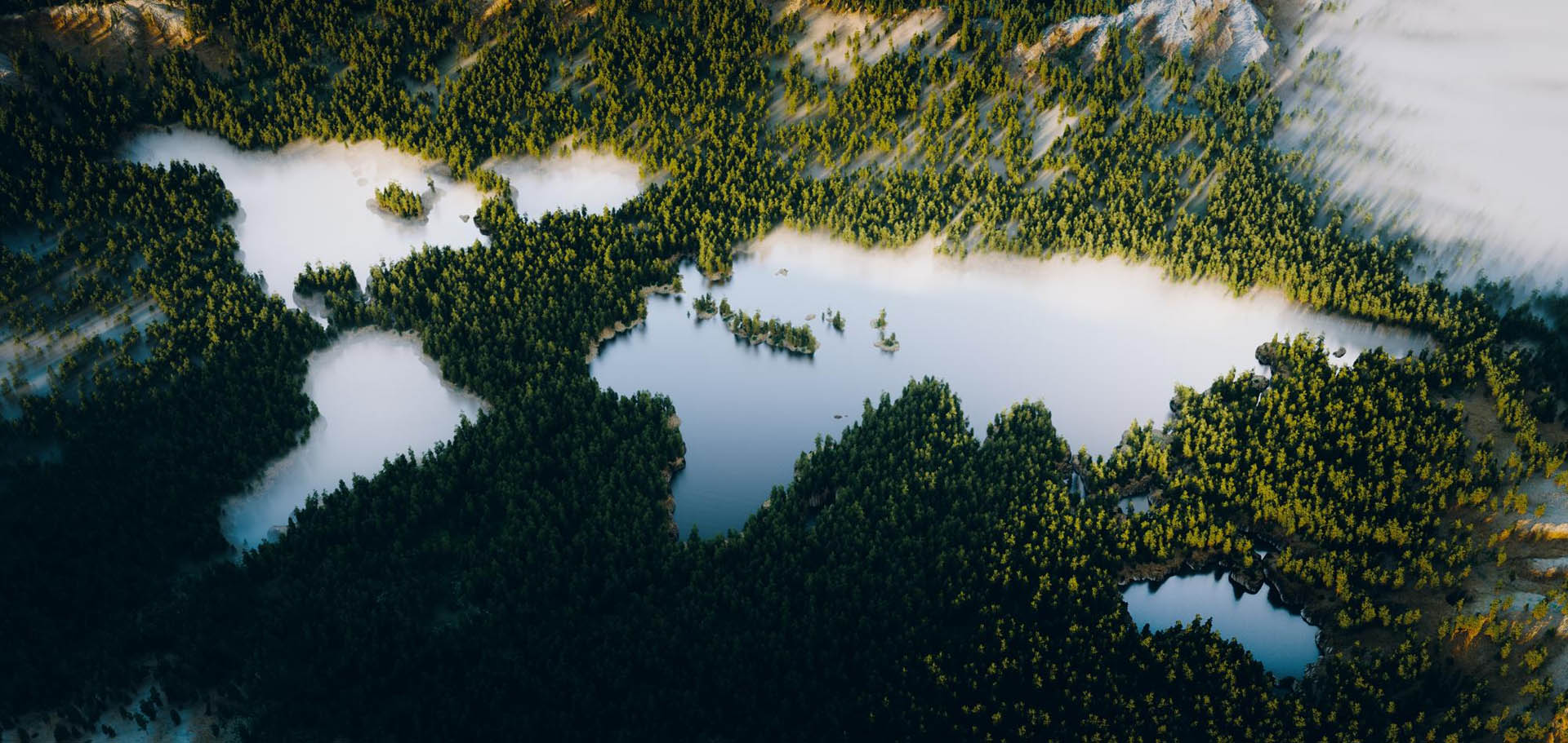 beautiful-lush-mountain-forest-with-continentshaped-turquoise-lake-from-aerial-ultrawide-view-call-protect-our-planet-through-sustainable-development-3d-rendering