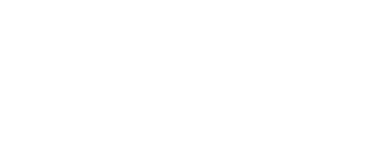 Feston SEV